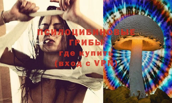 a pvp Вязники